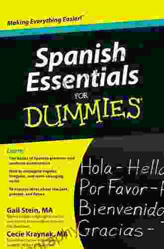 Spanish Essentials For Dummies Gail Stein