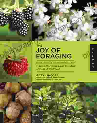 The Joy Of Foraging: Gary Lincoff S Illustrated Guide To Finding Harvesting And Enjoying A World Of Wild Food