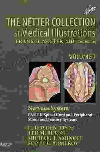 The Netter Collection Of Medical Illustrations: Nervous System Volume 7 Part II Spinal Cord And Peripheral Motor And Sensory Systems: Part II Neurologic Disorders (Netter Green Collection)