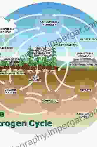 Nitrogen In Organic Wastes: Applied To Soils (International Solid Waste Professional Library)