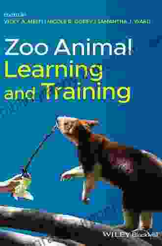 Zoo Animal Learning And Training